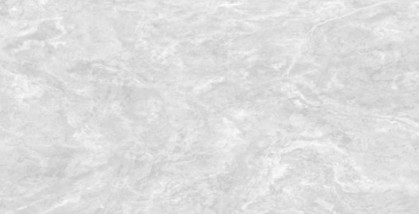 PLATINUM 25X40 REC ASTORIA GREY